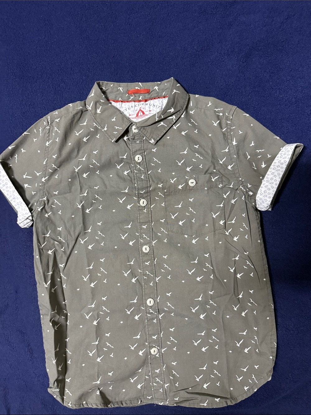 Boys' Olive Green Short-Sleeve Button-Down Shirt with White Bird Print